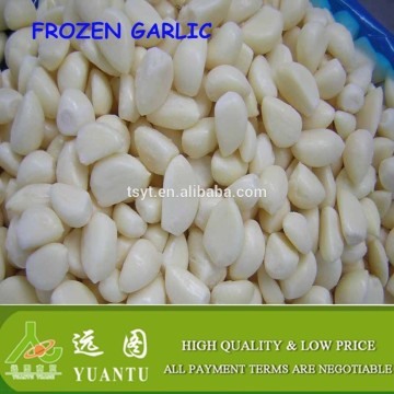 types of green vegetables iqf garlic