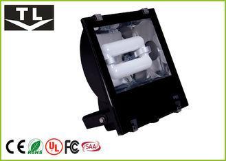 High Efficiency No Magnetic Induction Flood Light High CRI