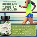 OEM/ODM Slim Detox Green Tea Weight Loss Capsules