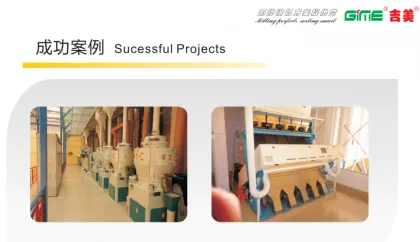 Large-scale Full-unit Rice Mill Projects