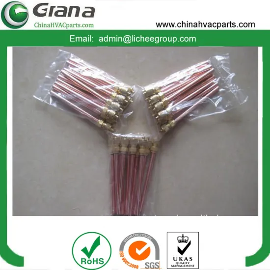 Access valve for refrigeration