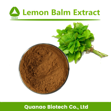 Lemon Balm Extract Carnosic Acid 5% Powder