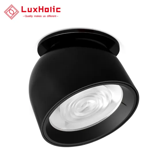 LuxHolic 360 Degree Rotatable 13W LED Ceiling Downlight