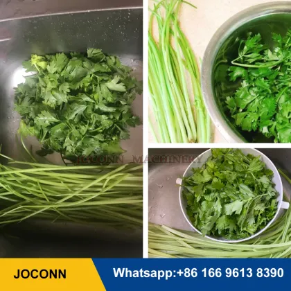 Small Celery Leaf and Stem Separating Machine | Coriander Leaf Picker | Vegetable Leaf Removing Machine