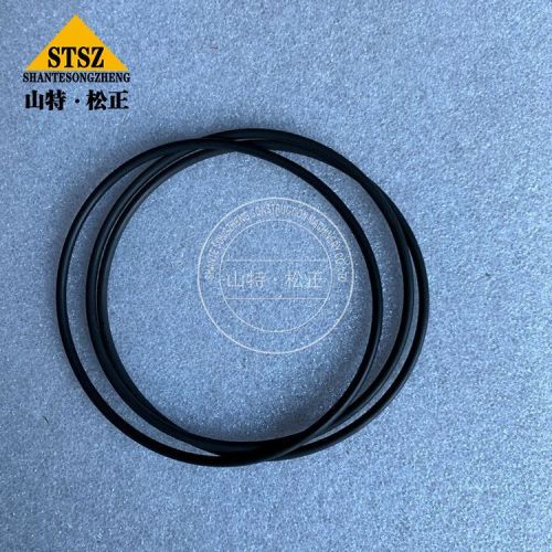 Cummins Spare Parts O Ring 3902089