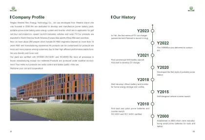 OEM ODM 11kw 22kw Portable EV Wallbox Charger Type 2 Home Electric Car Charger with LCD Display