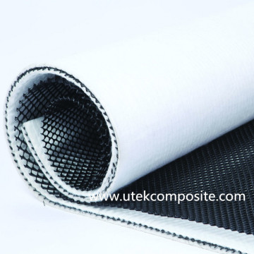 Bi-Planar 3D Drainage Geonet Composite Geotextile for Landfill