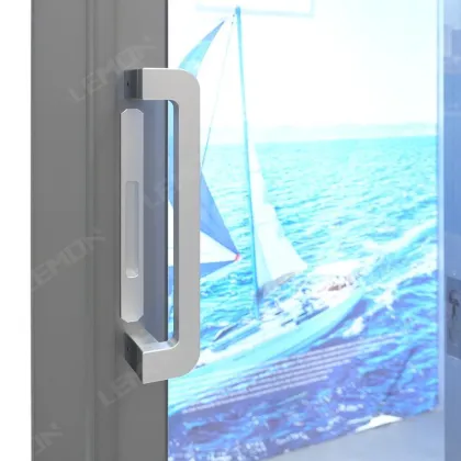 Kitchen pd door slide and swing pt door