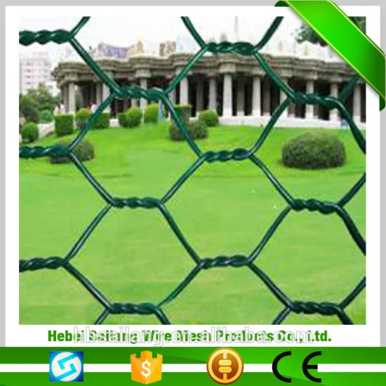 Anping zoo fencing sell galvanized hexagonal wire mesh