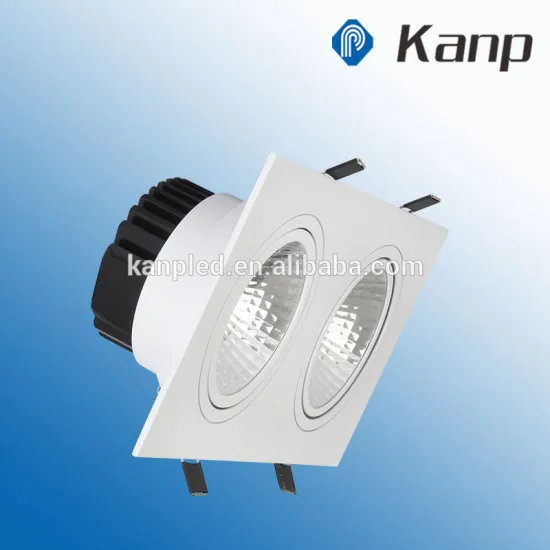 2x5W White/Silver/Black Flat Double Heads Commercial Led Ceiling Light