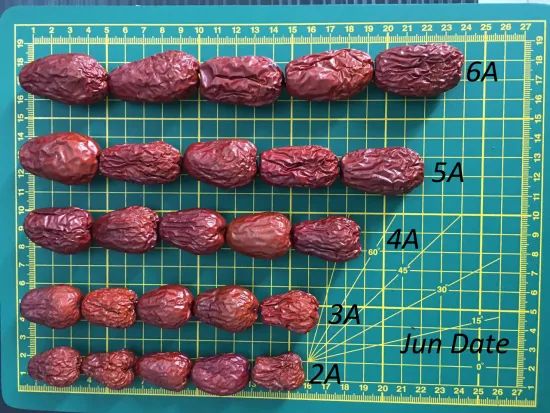 Plastic Bag Packing Organic Red Dates