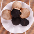 Organic single bulb Black Garlic with skin