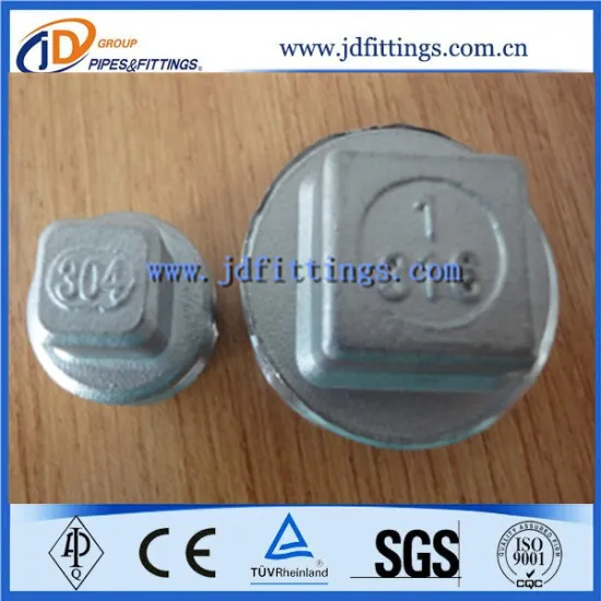 Stainless Steel 316  Pipe Square Plug/Pipe Fitting