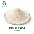 Enzima proteasa para hidrólisis de proteínas y producción de péptidos