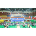 lantai sukan dalaman BWF profesional untuk badminton