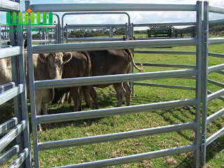 High Quality Hot Sale Galvanized Cattle Horse Fence