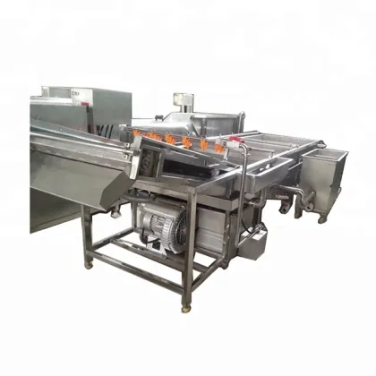 Fresh Vegetable and Fruit Washing, Cleaning, and Drying Machine