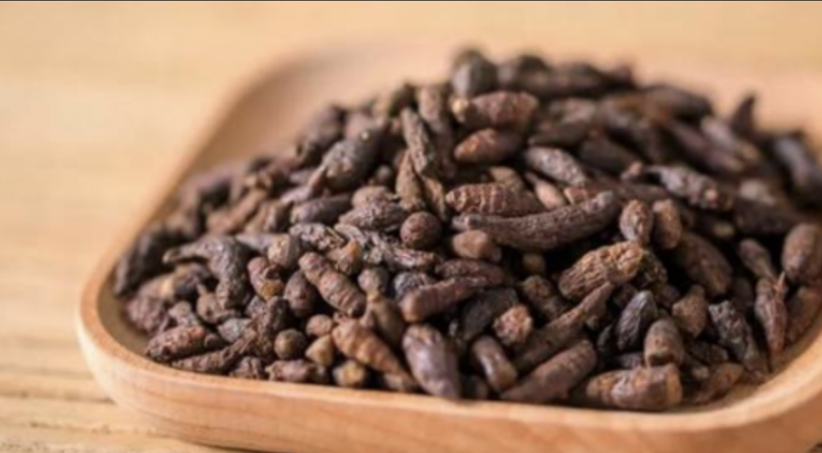 Caraway Extract Supplier