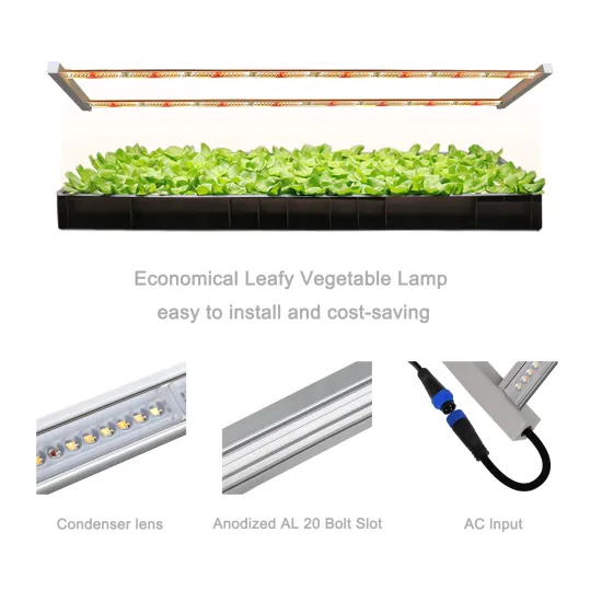 Indoor Vertical Farm LED Grow Light 60W Lens for Increased PPFD