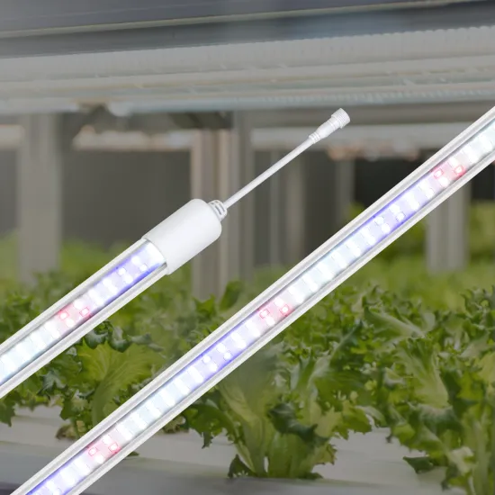 High Quality LED T8 Grow Light for Microgreens and Vegetables
