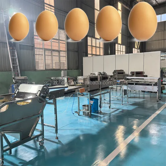 Automatic High-Efficiency Egg Washing, Drying, Sterilizing, and Grading Line