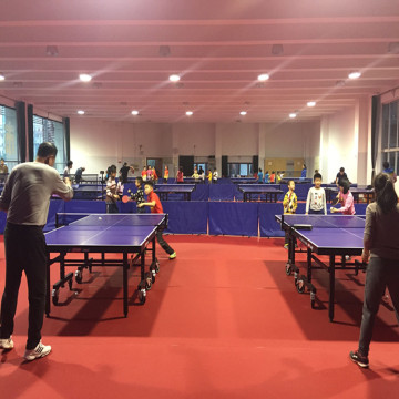 Superficie del campo da ping pong in PVC per interni