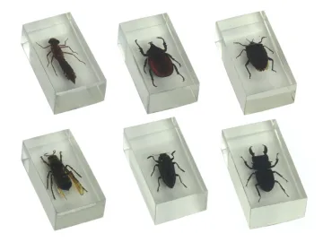 premium montessori materials toys science materials