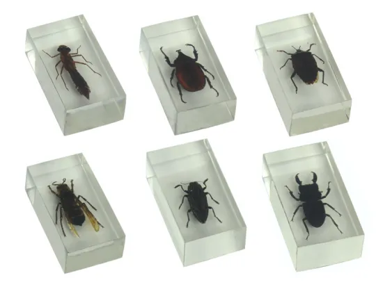 premium montessori materials toys science materials