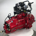 250CC horizontal central shaft water cooled engine