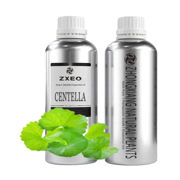 Memasok bahan kosmetik mentah minyak esensial minyak perawatan kulit Centella asiatica minyak 100% murni alami