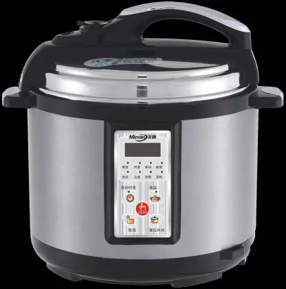 Electric Pressure Cooker