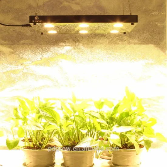 Hot Selling 600W Green House COB Plant light Led Grow Light for Indoor Garden Hydroponic
/