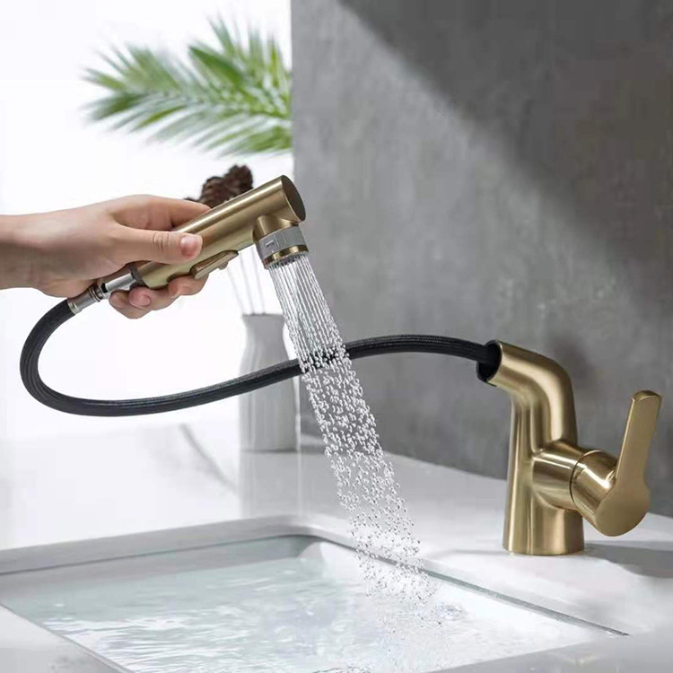 Brass 360 Degree Swivel Pull Out Basin Faucet