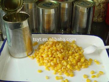 425g Canned Sweet corn kenels kenel fruit vegetable for Russia