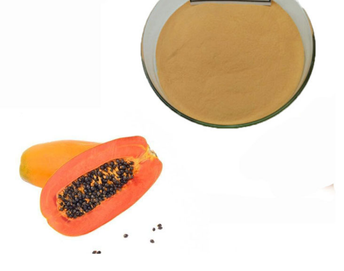 Papaya Powdered Extract Cosmetic Grade