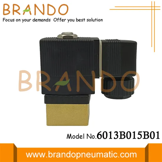 BURKERT Type 1/8'' Brass Solenoid Valve DC24V