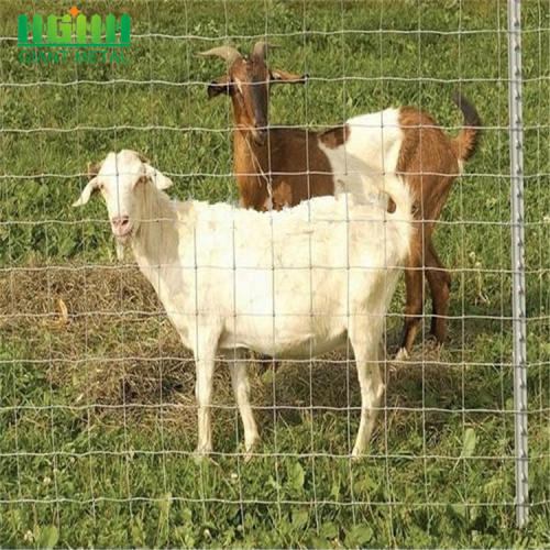 Goat farming fence for india farm guard