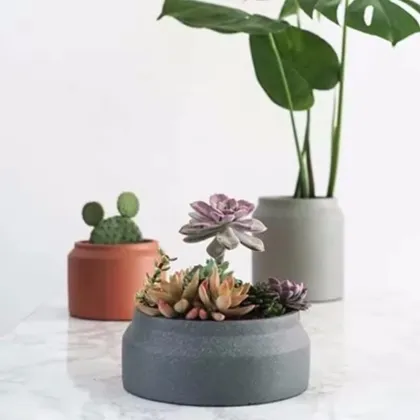 Customized Cylinder Terracotta Concrete Flower Pot for Outdoor
