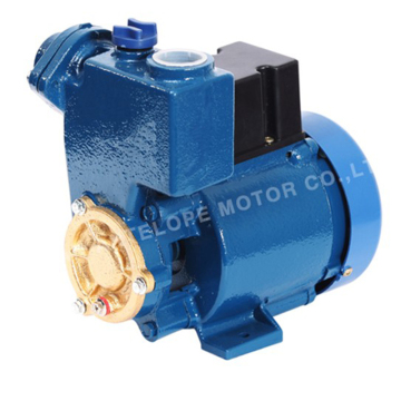 Peripheral Pump (GP125A)