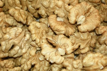 Best selling agricultural product highly nutritive walnut