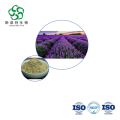 Lavandula Angustifolia Extract - Wholesale Water-soluble Powder for Nutraceuticals