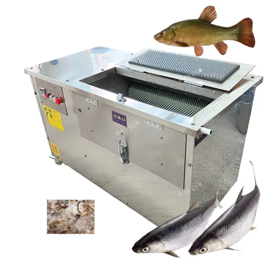 Automatic Fish Descaler Machine for Large and Small Fish