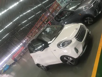 Zd Electric Car EU M1 Standard