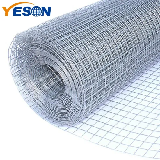Galvanized Panels, Stainless Steel Wire Mesh, and 6x6 Welded Wire Mesh Prices for Sale for Concrete Slabs