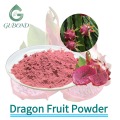 Высушенный распылением порошок драконьего фрукта Розовый порошок питайи