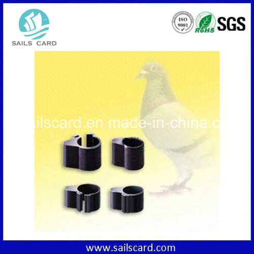 Free Samples RFID Racing Pigeon Ring for Sale