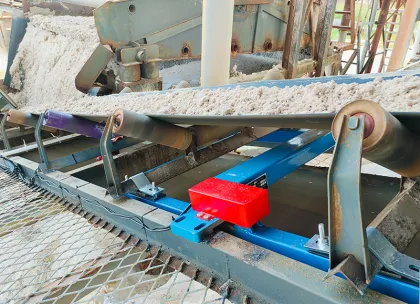belt width 520 Belt scale