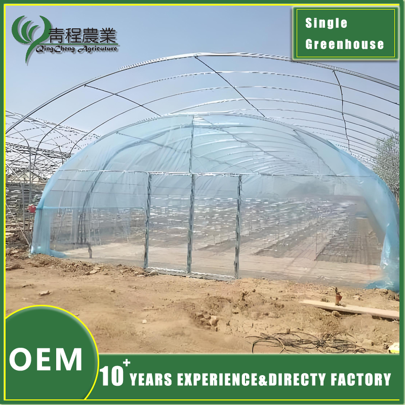 Single Span Greenhouse with Double Wall Design