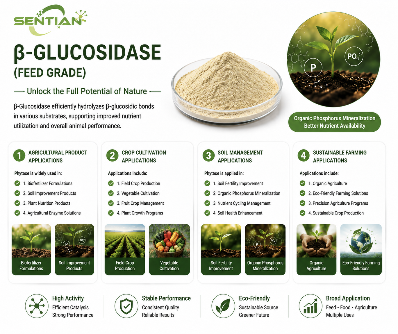 β-Glucosidase3