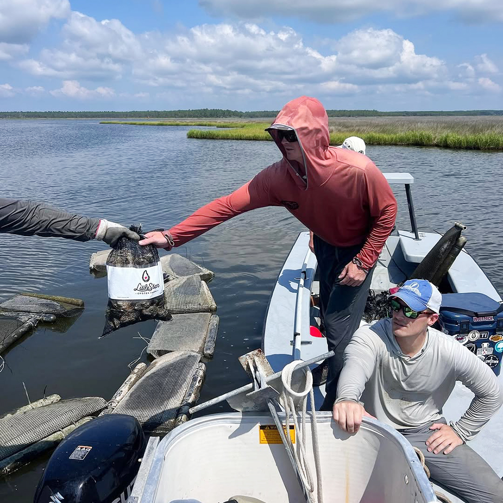 Oyster Farm ing American